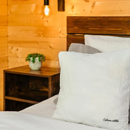 Вилла Apusenity- Refugiu Modern In Inima Naturii, Aproape De