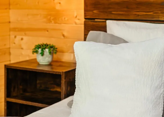 فيلة Apusenity- Refugiu Modern In Inima Naturii, Aproape De